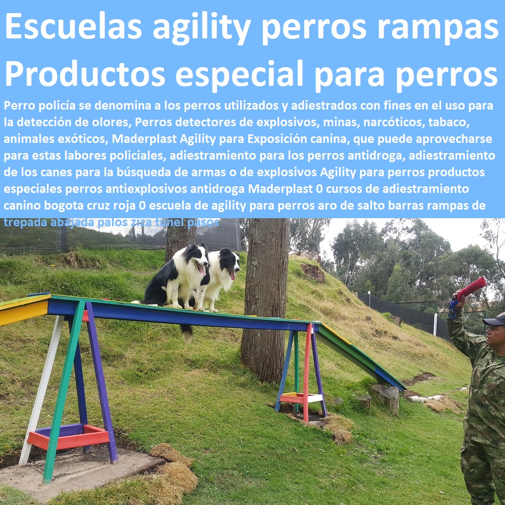 Agility para perros productos especiales perros antiexplosivos antidroga Maderplast 0 cursos de adiestramiento canino bogota cruz roja 0 escuela de agility para perros aro de salto barras rampas de trepada abajada palos ziza túnel pasos Agility para perros productos especiales perros antiexplosivos antidroga Maderplast 0 cursos de adiestramiento canino bogota cruz roja 0 escuela de agility para perros aro de salto barras rampas de trepada abajada palos ziza túnel pasos Agility para perros productos especiales perros antiexplosivos antidroga Maderplast 0 cursos de adiestramiento canino bogota cruz roja 0 escuela de agility para perros aro de salto barras rampas de trepada abajada palos ziza túnel pasos Hasta Alas De Avión para proyectistas 0 Lo Que Su Imaginación Quiera Hacer para decoradores 0 Desarrollo Y Diseño De Productos en materiales plásticos de ingeniería para ingenieros 0, todo listo para inventores 0 desarrolladores hágalo ya con maderplast, Diseños Especiales para diseñadores 0